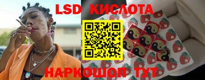 индика Ставрополь