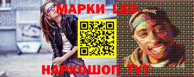 индика Ставрополь