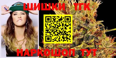 индика Ставрополь