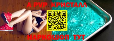 индика Ставрополь