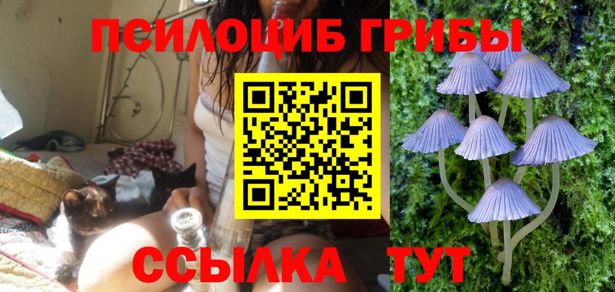Оренбург  купить наркоту  Вход с VPN  Псилоцибиновые грибы Psilocybine cubensis 